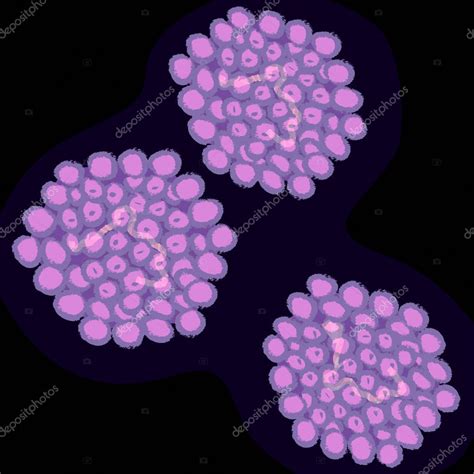 Virus del papiloma humano sobre fondo oscuro ilustración vectorial 2023