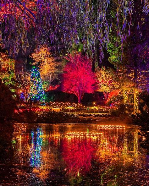 Shannon Bolisig Shannonbolisig The Butchart Gardens Bc Canada