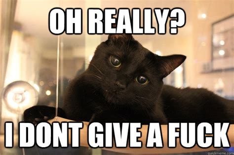 Oh Really I Dont Give A Fuck No Fucks Given Cat Quickmeme