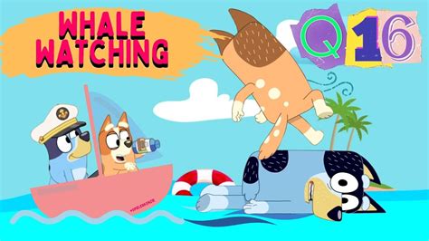 Bluey Season 3 Episode Whale Watching Quiz 16 YouTube