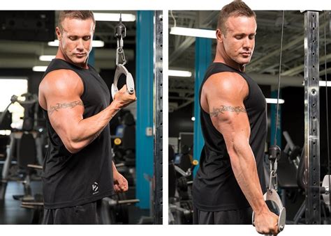 The High Volume Triceps Builder Your Arms Need