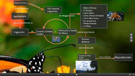 Biología IV grupo 628 Practica III mapa mariposa monarca