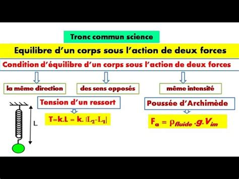 équilibre d un corps solide soumis à deux forces physique tronc commun