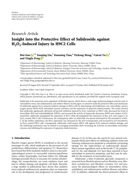 PDF Insight Into The Protective Effect Of Salidroside Against H2O2