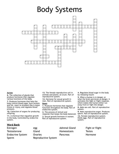 Body Systems Crossword Wordmint