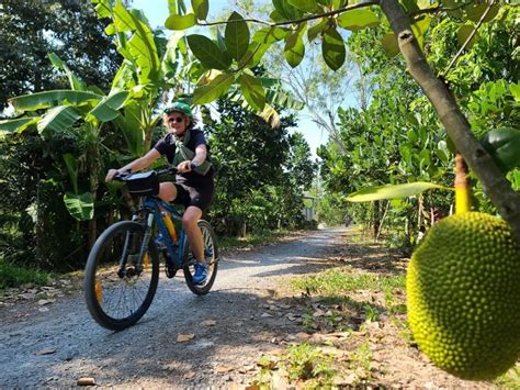 Desde Ho Chi Minh Delta Del Mekong No Tur Stico En Bicicleta Getyourguide