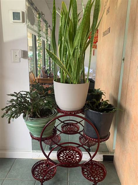 This ibx benefit offers a surprising wellness reward now 18