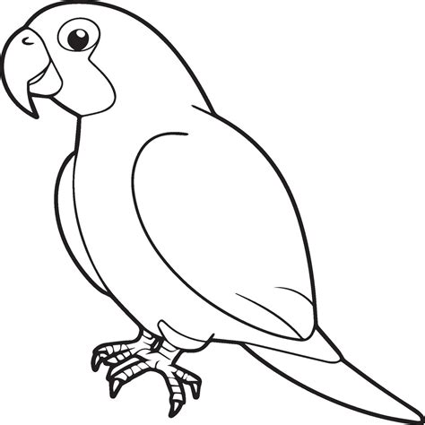 can parrot stressed for beginners 5