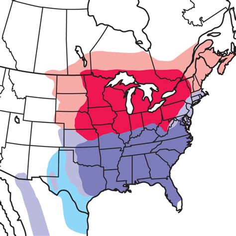 Blue Bird Migration Map
