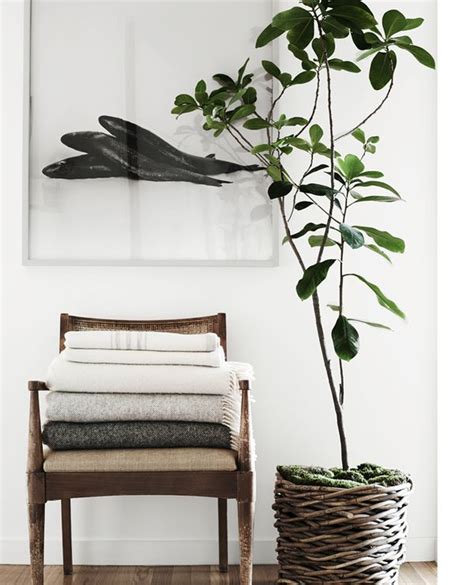 HOME & GARDEN: The Kinfolk Home Interior Inspo, Modern Interior ...