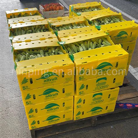 China PP Corrugated Box OKRA Box Vegetable Box Plastic Corrugated Box