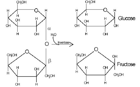 Structure Of Glucose And Fructose Overview Structure Properties Uses