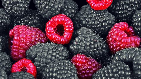 Black Berries Wallpaper 2880x1620 67121 - Baltana