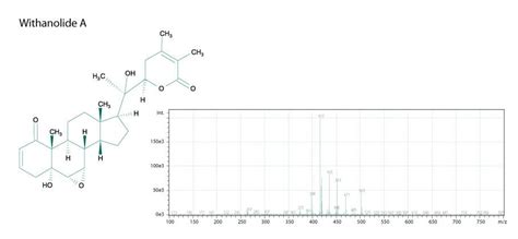 Ashwagandha Complex Standard Process