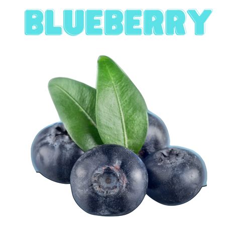 Single Note Blueberry Flavor Concentrate Friendly Send Flavors