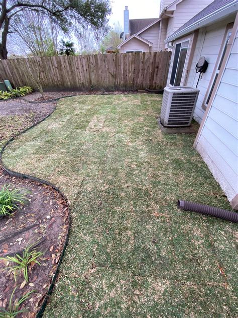 how to install sod grass