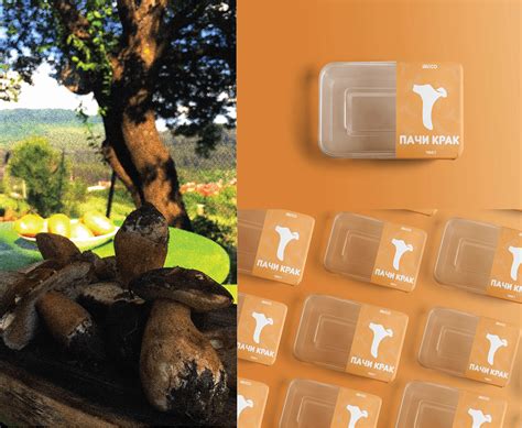 MICO | Brand identity :: Behance