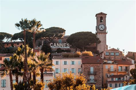 Cannes Film Festival Guide Alosim