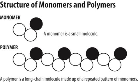 structure of monomer and po... alamanda polymer Photo album by KellyOrtega