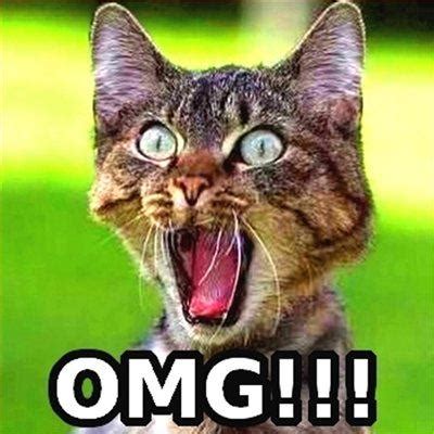 T-Mobile Wins JD Power Retail Sales Satisfaction Study, Again! - TmoNews