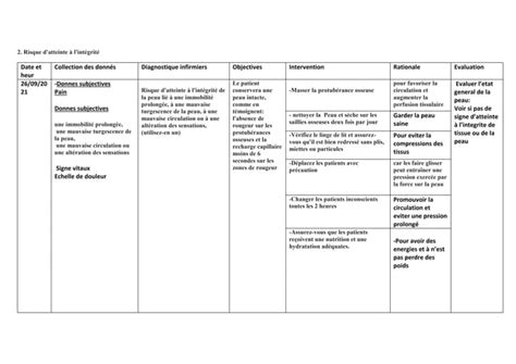 Plan De Soins Infirmiers Examples En Pratique 3docx
