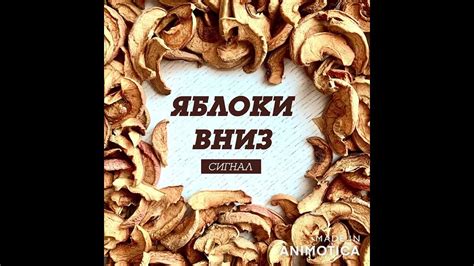 Сигнал - Яблоки вниз - YouTube