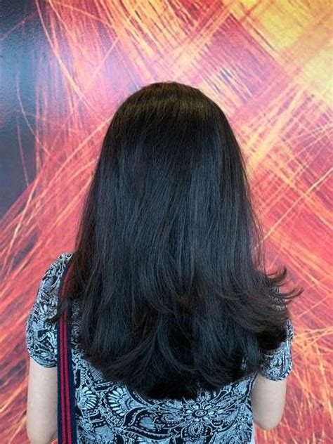 Pin By Jyothilakshmi Gopi On Hair Cut In 2024 Indian Hair Cuts Hair