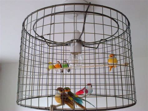 Домашних птиц в клетке (45 фото) - красивые фото и картинки pofoto.club