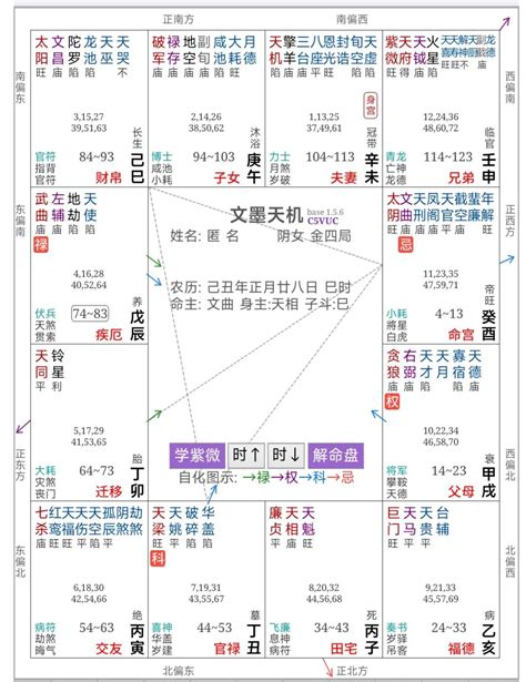 紫微斗数案例化忌对冲父母宫霄云腾国学