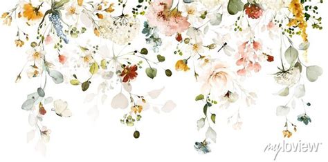 Set Watercolor Arrangements With Garden Roses Collection Pink Wall