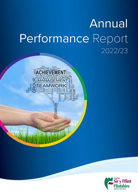 annual performance report