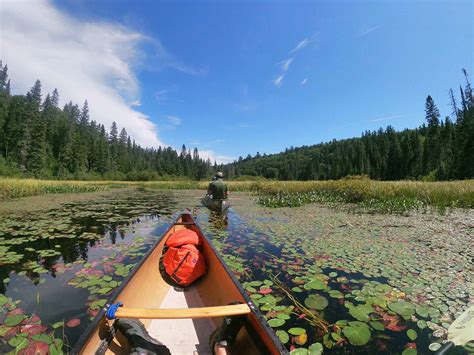 Algonquin Park Canoe Routes Discovery Routes
