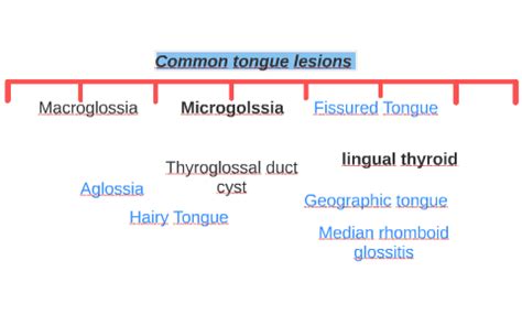 Common tongue lesions by Mayada Hefnawy on Prezi