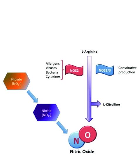 Non-enzymatic (left side) and enzymatic (right side) synthesis of ...