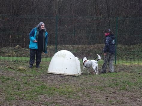 Moniteur en éducation canine 2ème degré en Ile de France les 19-20