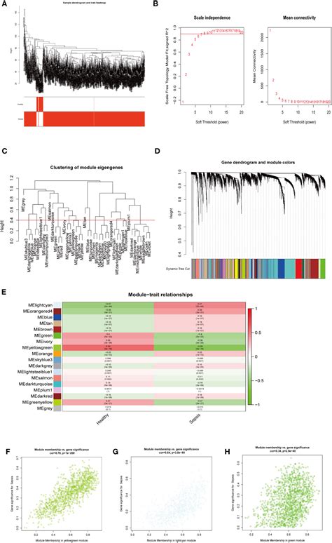 Frontiers Machine Learning Based Identification Of Cybb And Fcar As