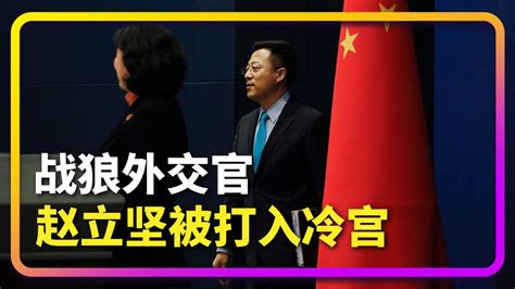 战狼外交管赵立坚被打入冷宫 战狼外交政策要调整吗 Youtube