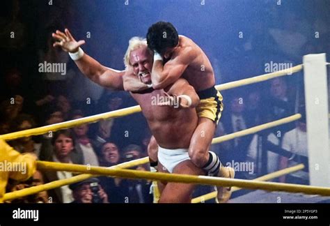 Hulk Hogan Contre Rocky
