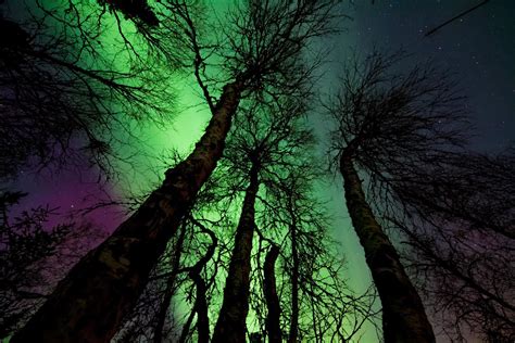 Northern lights Sweden tours I Tour Aurora borealis Scandinavia