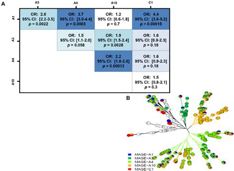 Ab Co Expression Of Mage Antigens In Ovarian Cancer A Mage A Is