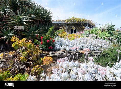 Penneshaw Cottage Kangaroo Island South Australia Sa Australia