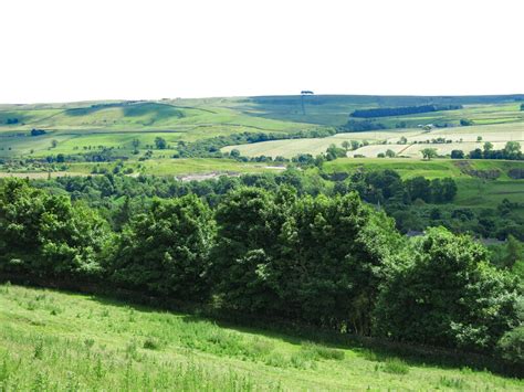 Rough Pasture And Woodland Above Mike Quinn Geograph Britain