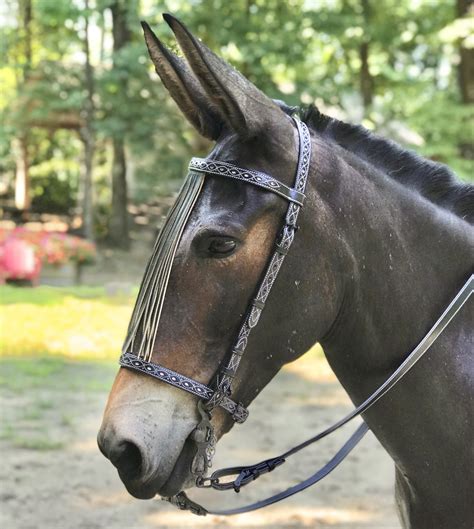 Mule Spanish Tooled Vaquero Bridle By Marjoman Artisan Tack