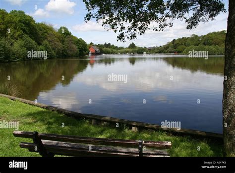 The Lake At Llandrindod Wells Powys Wales Stock Photo Alamy