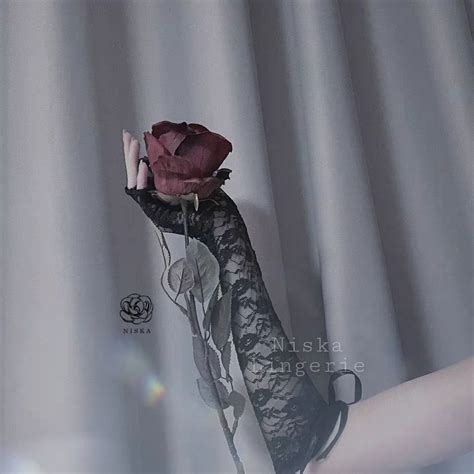 Cặp găng tay ren Mã V12 Niska Lingerie