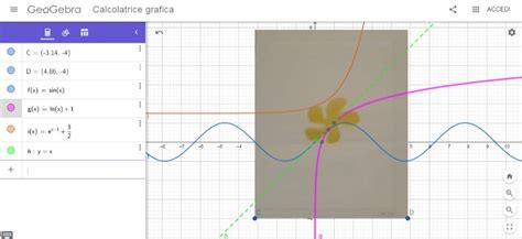 Matematica E Fisica A S I Magici Ritagli Di Matisse