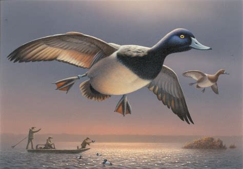 Federal Duck Stamp Contest Entry U S Fish And Wildlife