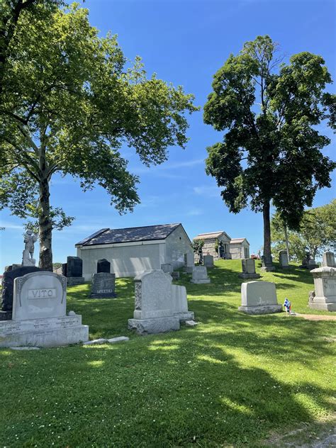 Families are protesting St Michael's Cemetery upkeep delays 2