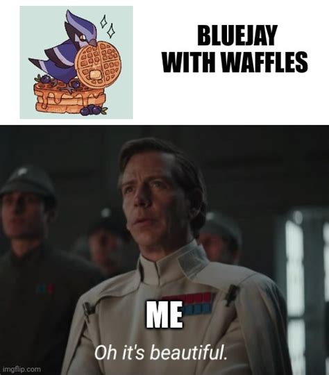 Bluejay With Waffles Imgflip