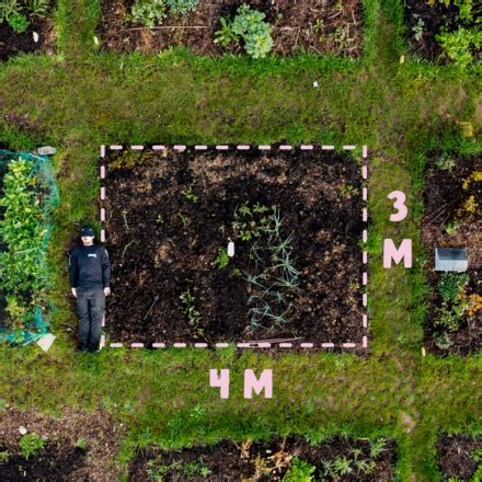 Mini Patch @ Roots Allotments, Meadow Hill Croydon - AllotMe
